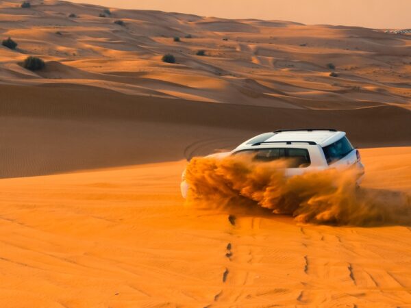 Premium Desert Safari With Transfers
