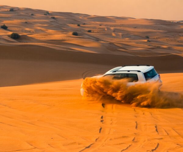 Thrill in the Dunes – Desert Safari With Transfers