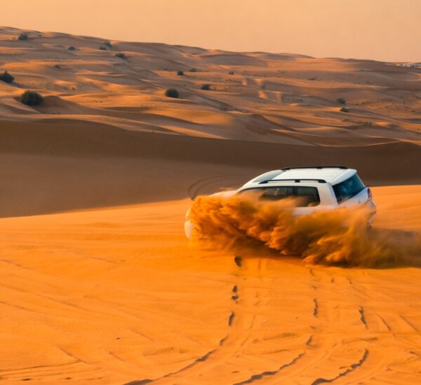 Premium Desert Safari With Transfers