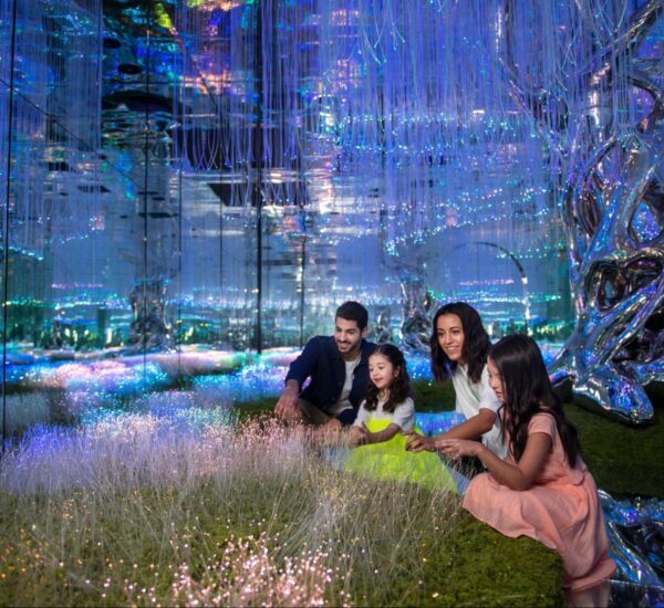 AYA Universe Dubai Ticket Only